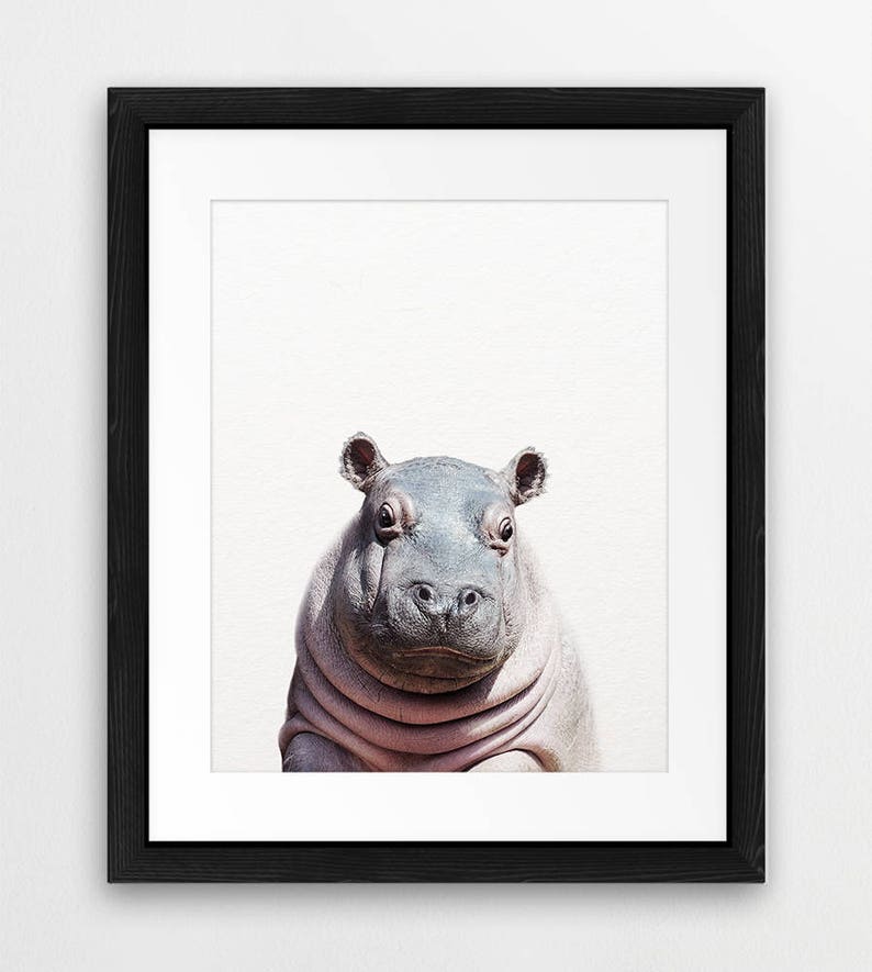 Hippo Print Baby Hippo Nursery Decor Safari Animal Nursery Etsy Australia