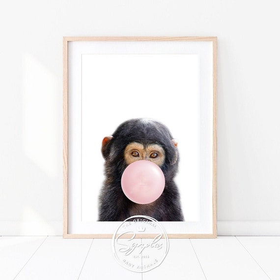 Baby Monkey With Bubble Gum Monkey Blowing Bubble Gum Safari Etsy