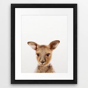 Puede incluir: Un retrato de cerca de un canguro joven con pelaje marr&oacute;n y grandes ojos oscuros. El canguro mira directamente a la c&aacute;mara con una expresi&oacute;n curiosa.