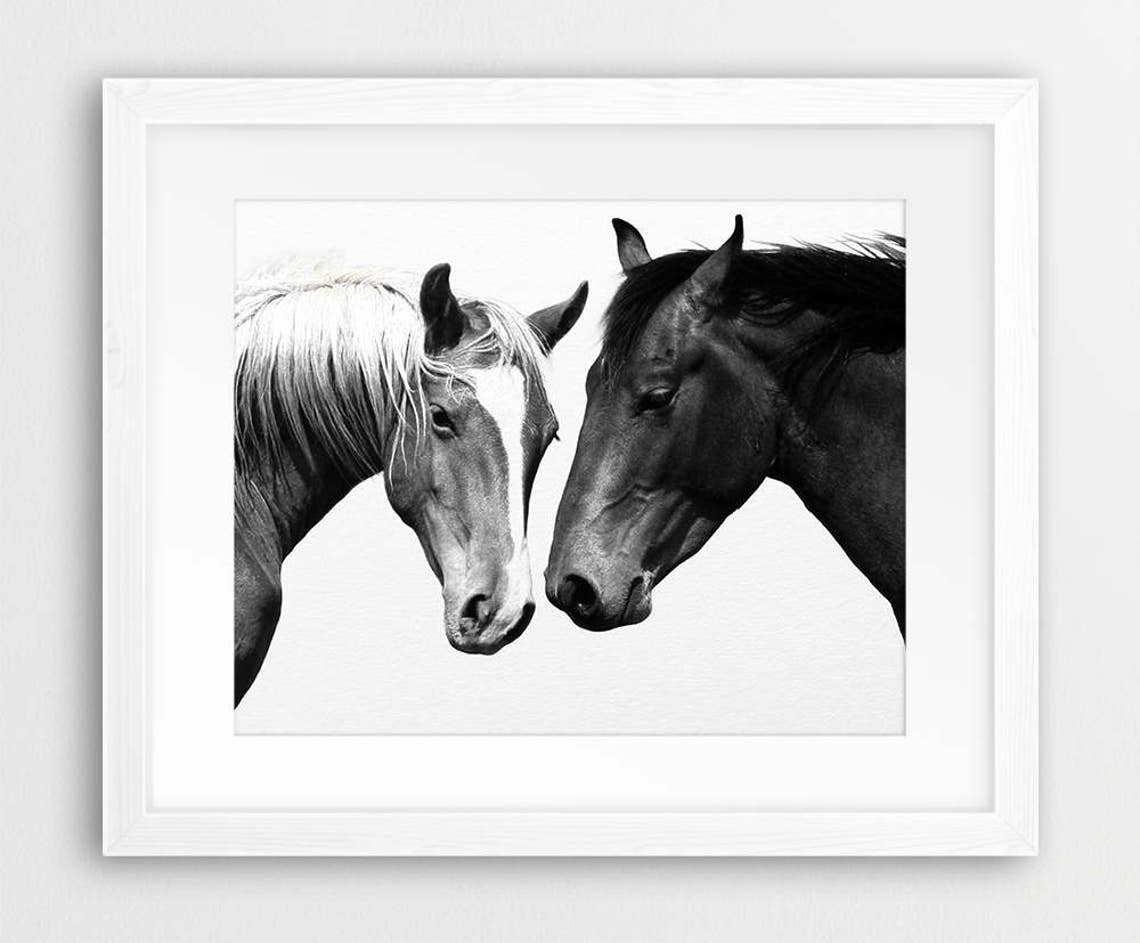 Horse Print Horse Photo Black & White Wild Horses Two Etsy