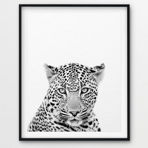 Leopard Print, Leopard Wandkunst, Safari Dekor, Tierdrucke, Safari Tiere schwarz & weiß, Kinderzimmer Dekor, Kinderzimmer Kunst, druckbare Kinder Kunst Bild 3