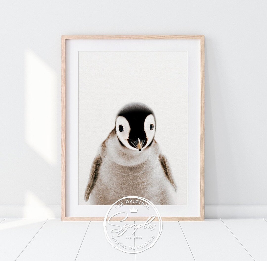 Penguin Print, Baby Penguin Art, Antarctica Animal, Cute Baby Animals