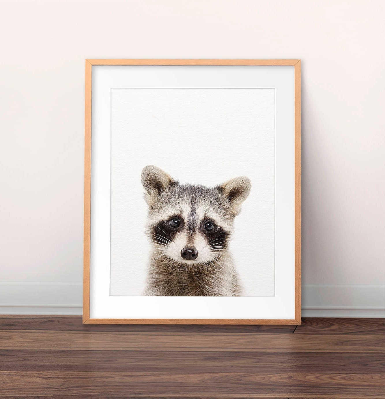 アライグマのプリント、赤ちゃんアライグマ、赤ちゃん動物のプリント 