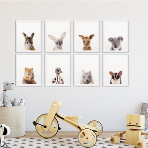 May include: A set of eight framed prints featuring close-up photos of various Australian animals, including a kangaroo, echidna, wombat, koala, and more. The prints are arranged in a grid pattern on a white wall.