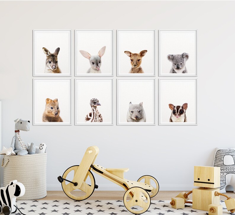 May include: A set of eight framed prints featuring close-up photos of various Australian animals, including a kangaroo, echidna, wombat, koala, and more. The prints are arranged in a grid pattern on a white wall.