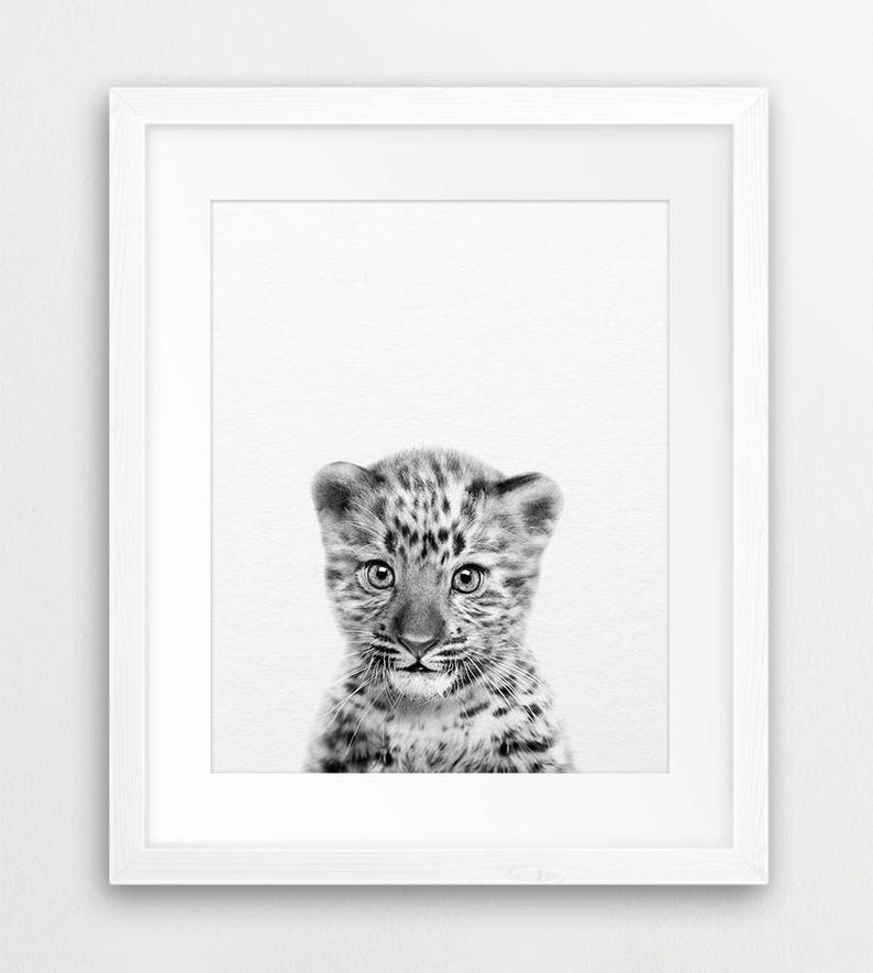 Leopard Cub Print Baby Leopard Art Forest Jungle Animal - Etsy
