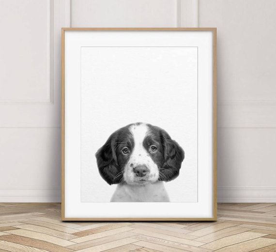 Dog Print Baby Animal Prints Puppy Print Baby Spaniel Etsy