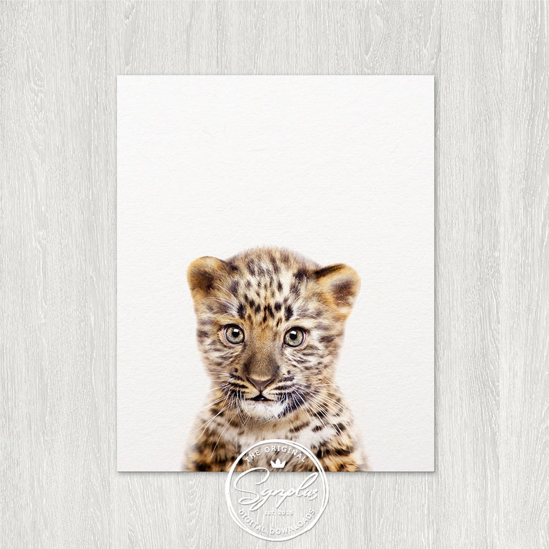 Leopard Cub Print Nursery Wall Art Baby Leopard Art Photo Etsy
