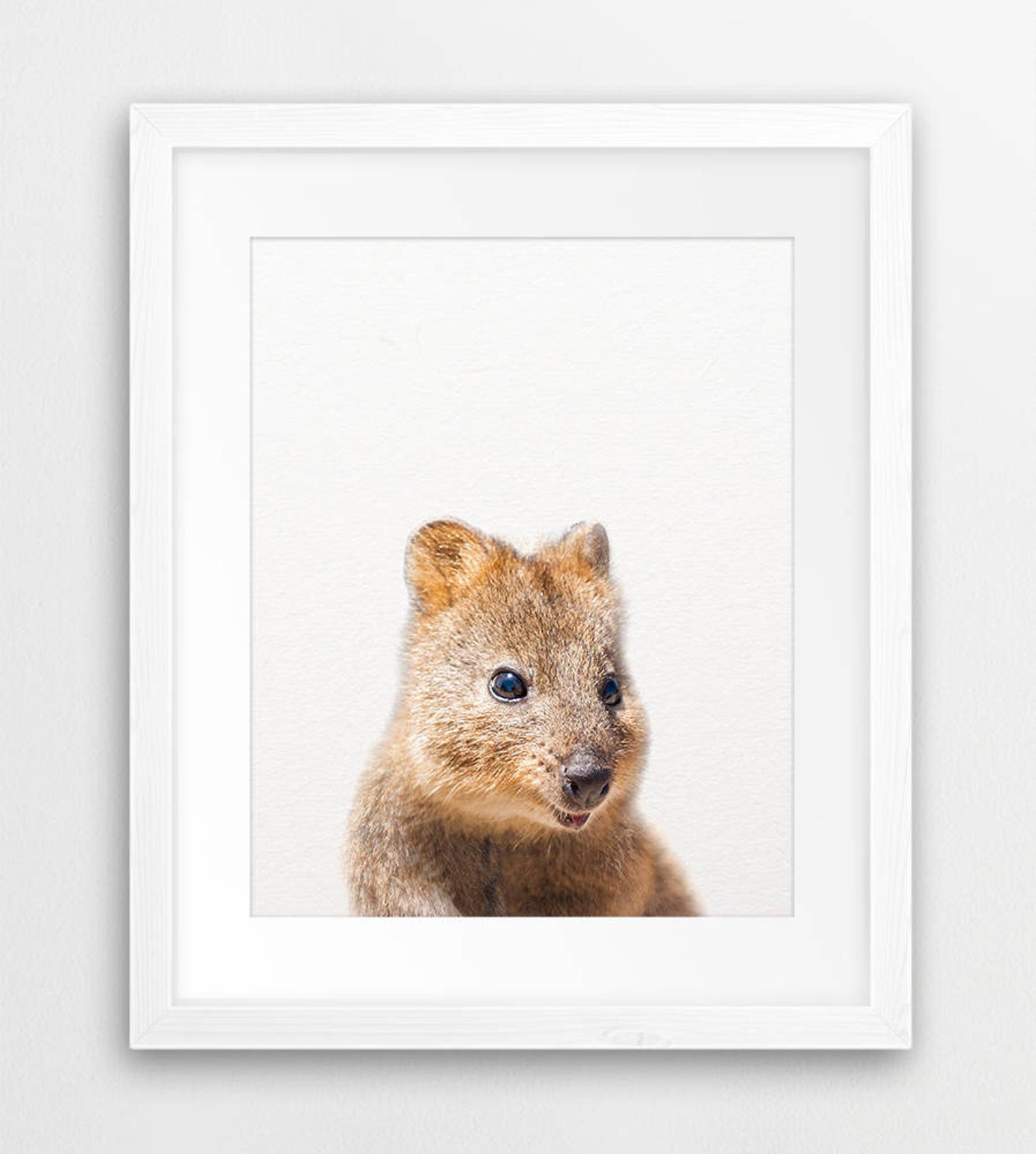 Australian Animals Print Nursery Decor Baby Animals Set 6 Etsy