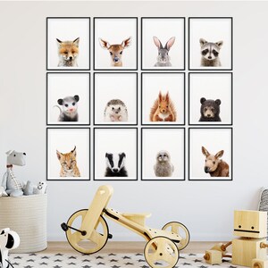 May include: A set of 12 black framed prints featuring various animals, including a fox, deer, rabbit, raccoon, opossum, hedgehog, squirrel, bear, lynx, badger, owl, and moose. The prints are arranged in a grid pattern on a white wall.