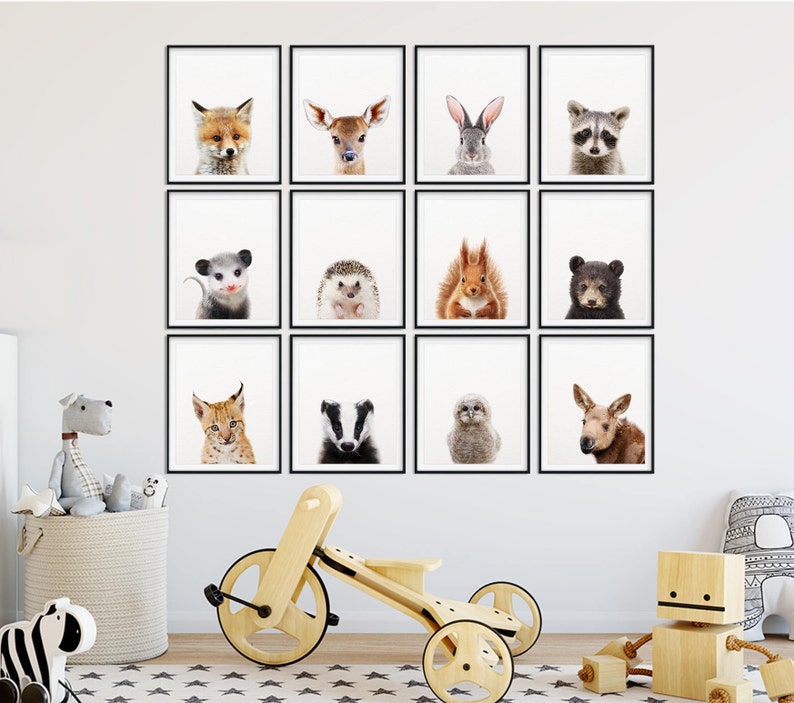 May include: A set of 12 black framed prints featuring various animals, including a fox, deer, rabbit, raccoon, opossum, hedgehog, squirrel, bear, lynx, badger, owl, and moose. The prints are arranged in a grid pattern on a white wall.