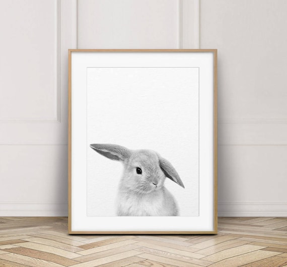 bunny decor nursery