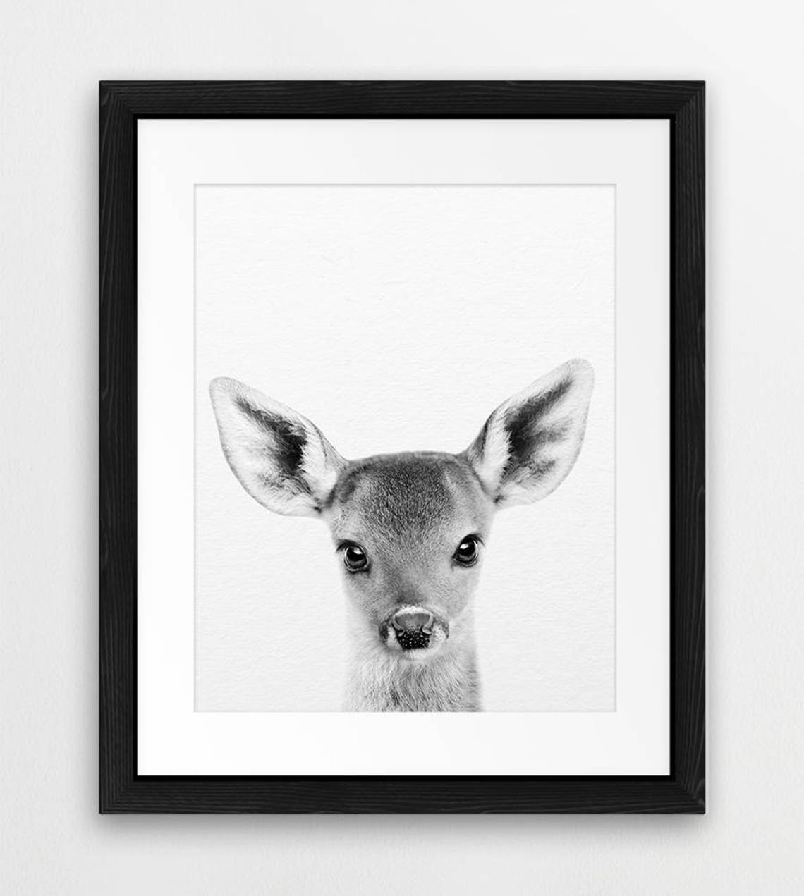Deer Print Woodland Nursery Decor Nursery Animal Wall Art Etsy