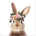 Propietario de <a href='https://www.etsy.com/mx/shop/synplus?ref=l2-about-shopname&from_page=listing' class='wt-text-link'>synplus</a>