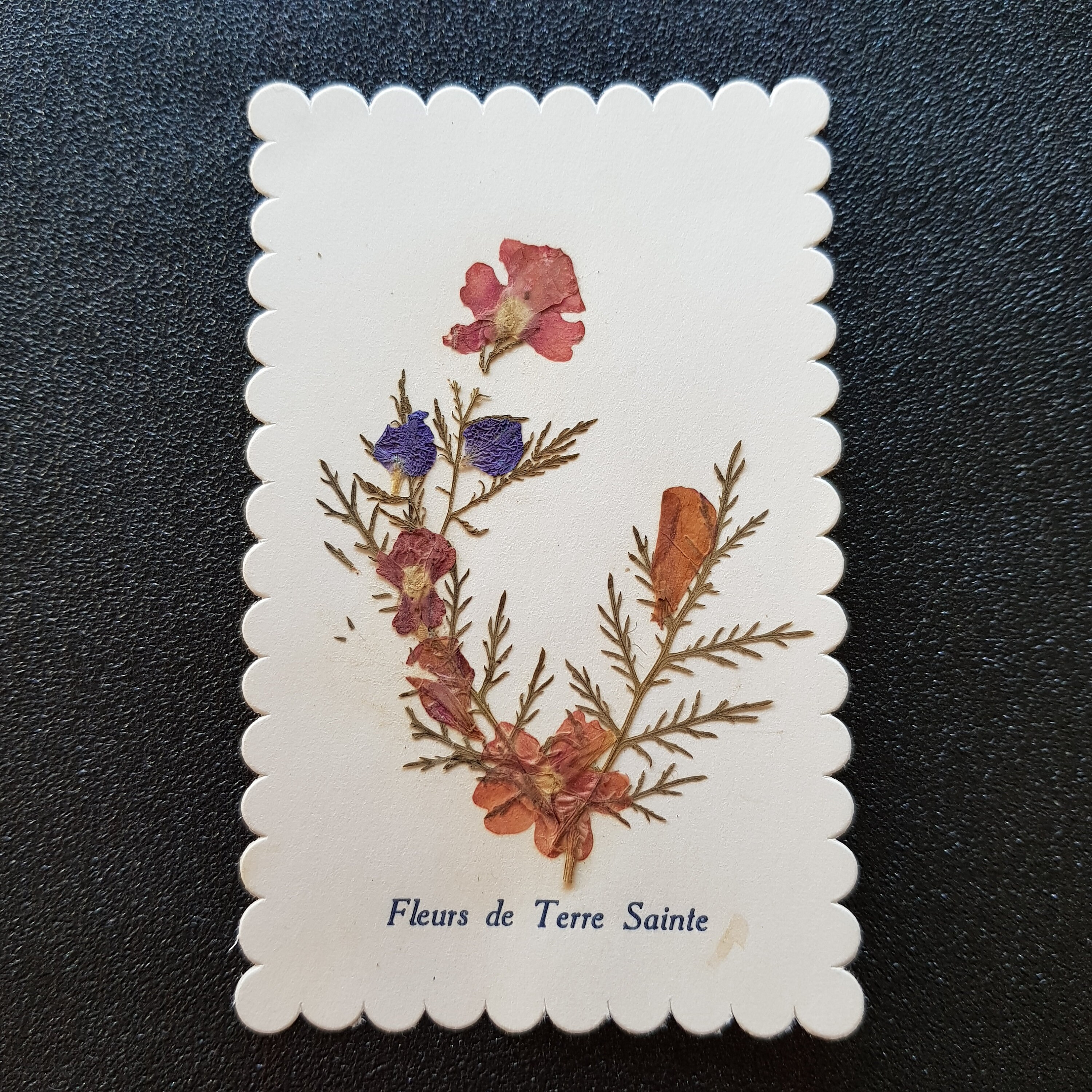 Vintage Français Carte d'herbier Religieux, Fleurs Pressées de Terre Sainte