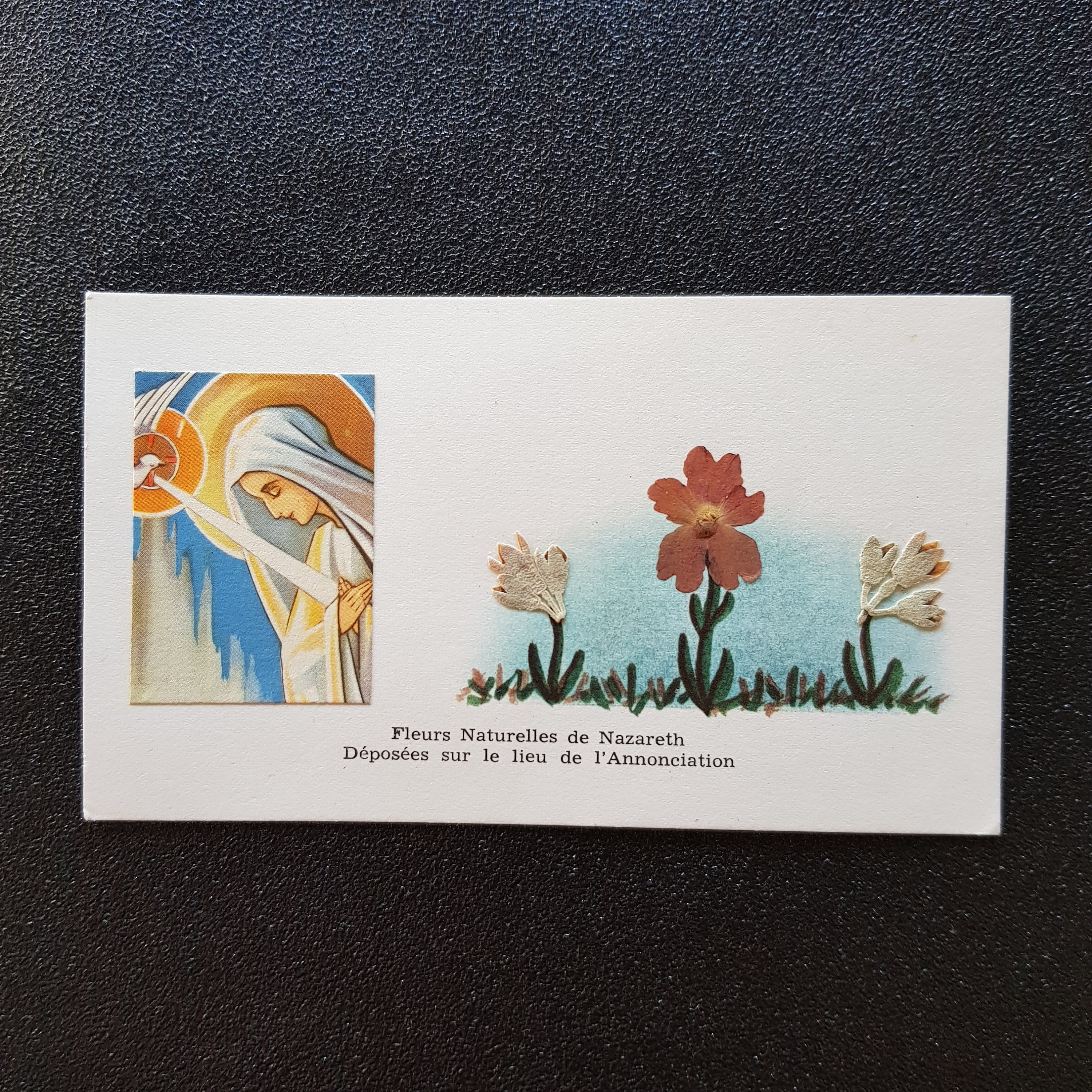 Carte Français'herbier Religieux, Fleurs Pressées de Nazareth