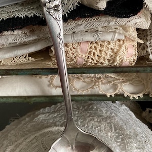 May include: A silver ladle with floral detailing on the handle. The ladle is displayed against a backdrop of vintage lace and fabric, suggesting a vintage or antique theme. The handle features a delicate floral design.