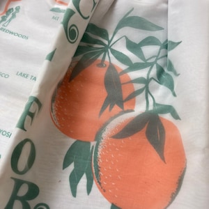 Vintage Souvenir Apron~State Landmarks ORANGES~Organza Overlay-35 Cotton/65 Poly~By Schug Fabrics Co. Bellflower, CALIFORNIA Kitschy~Tag