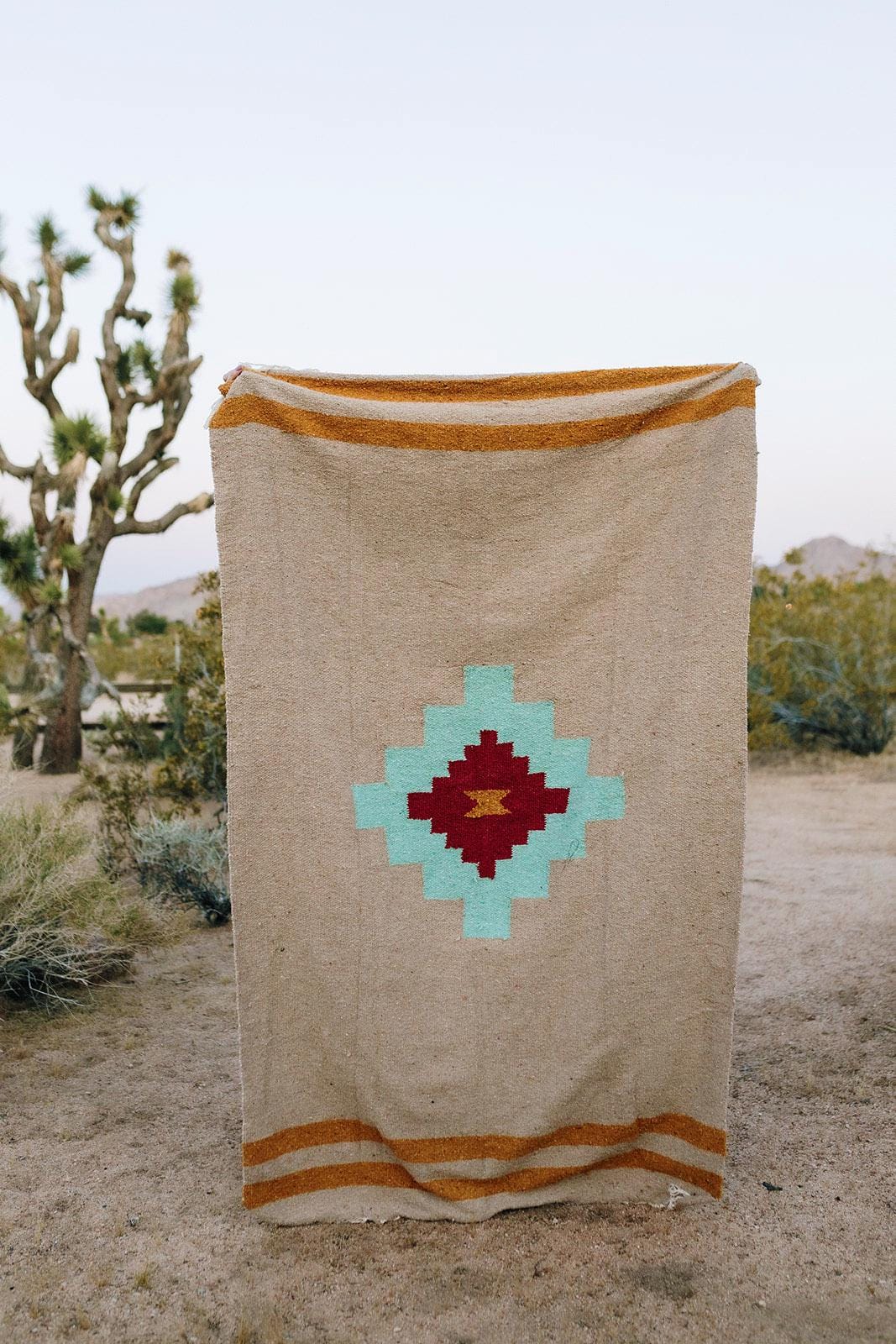 Pendleton beaver state blanket - Etsy 日本