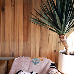 May include: A tan blanket with a horse design draped over a brown leather couch. The blanket has a black and white horse graphic and a geometric pattern. A large potted plant with long green leaves sits to the right.