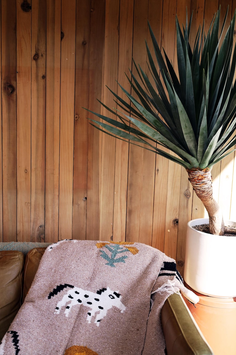 May include: A tan blanket with a horse design draped over a brown leather couch. The blanket has a black and white horse graphic and a geometric pattern. A large potted plant with long green leaves sits to the right.