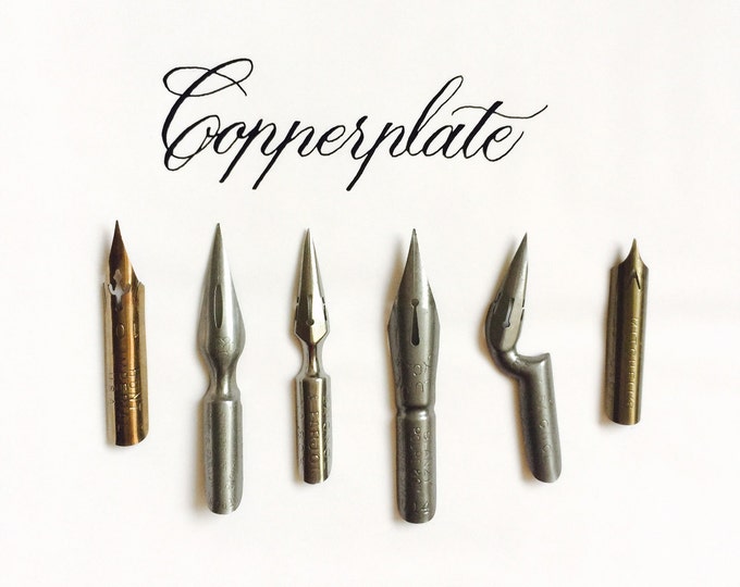 Classic Copperplate Nibs Series 2 Etsy