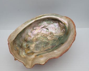 Large Abalone Seashell  Smudging Bowl Trinket Dish Jewelry