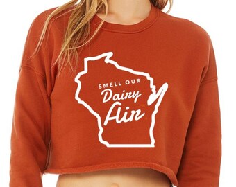 penn state cropped sweatshirt
