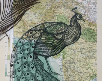 Peacock on Map of India, Peacock Art, Map Art, Bird Wall art