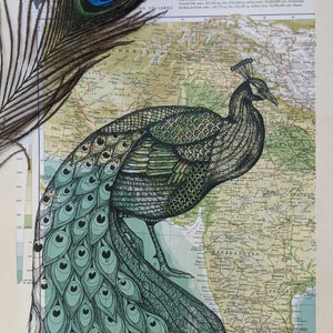 Pfau auf Landkarte Indiens, Pfauenkunst, Landkarte Kunst, Vogel Wandkunst