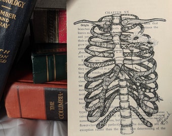 Anatomy, rib cage, My Heart is a Flower, Rib Cage Art, Medical Art, Gift for Doctor, Botany, Anatomical Art, Book Page Art, Book Art