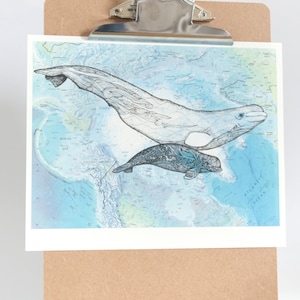 Baby Beluga und Mama Wal, Beluga Kunst, Walkunst, Baby Geschenk, Mutter Geschenk, Geschenk für Mutter, Wal, Beluga, neue Eltern,