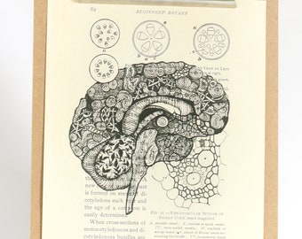 Anatatomy, brain Botany Page, Anatomy, Anatomy Art, Book Page Art, Book Art Print, brain, anatomy print, botany, medical art, brain art