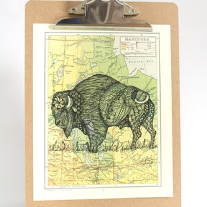 Bison du Manitoba (bison bison bison) et carte vintage, impressions d'art original, art de la carte, buffle, bison, art de l'atlas, art canadien, art de buffle
