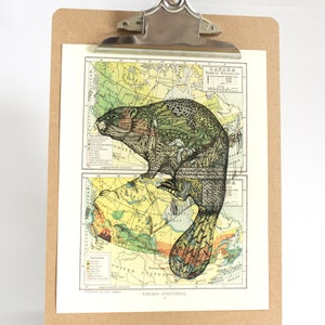 Castor sur une carte du Canada, art du castor, carte du Canada, art du Canada, vendeurs canadiens, castor, carte du Canada, rongeur, art de la carte, art de l'atlas