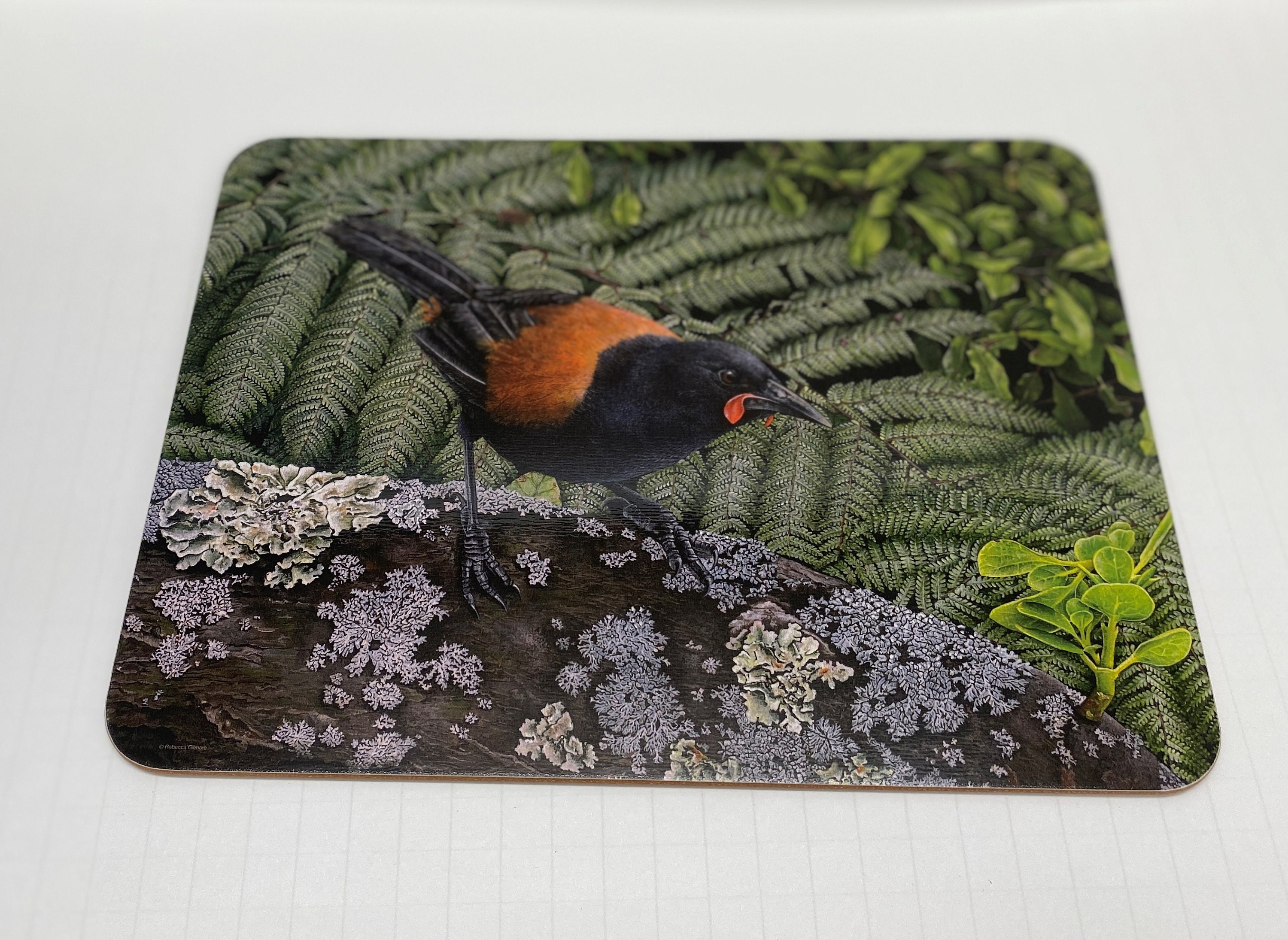 Jason Hardboard Placemats