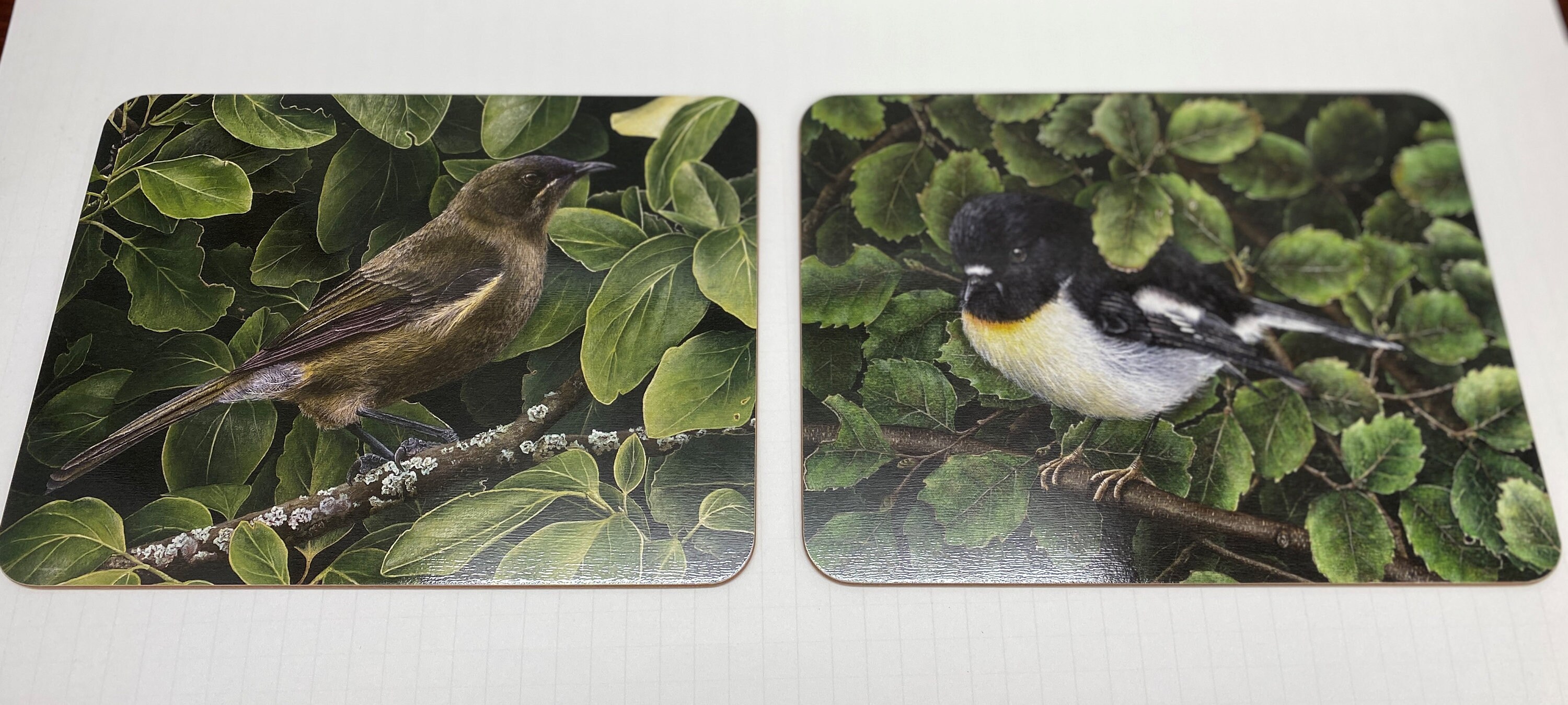 Jason Hardboard Placemats