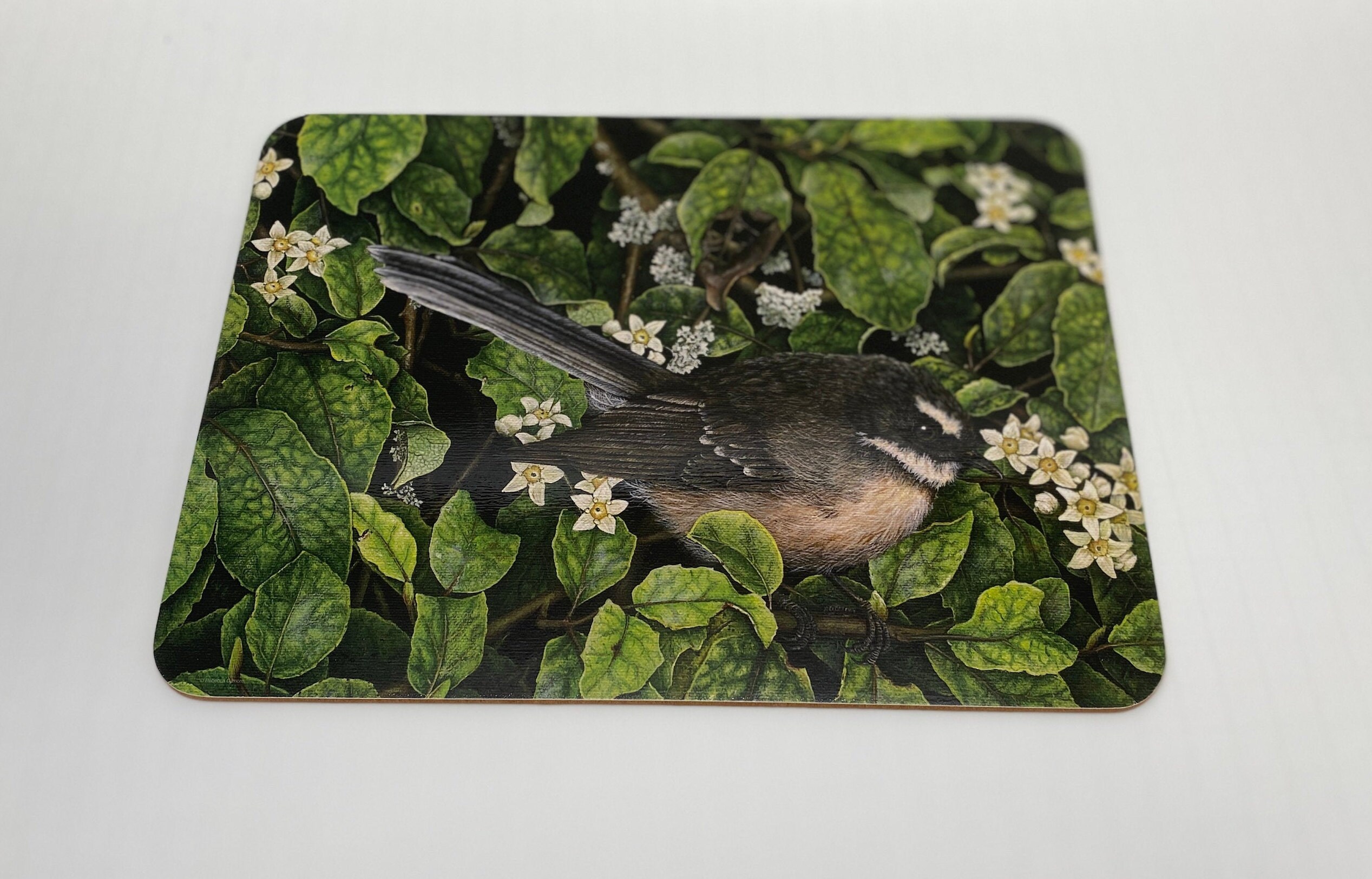 Jason Hardboard Placemats