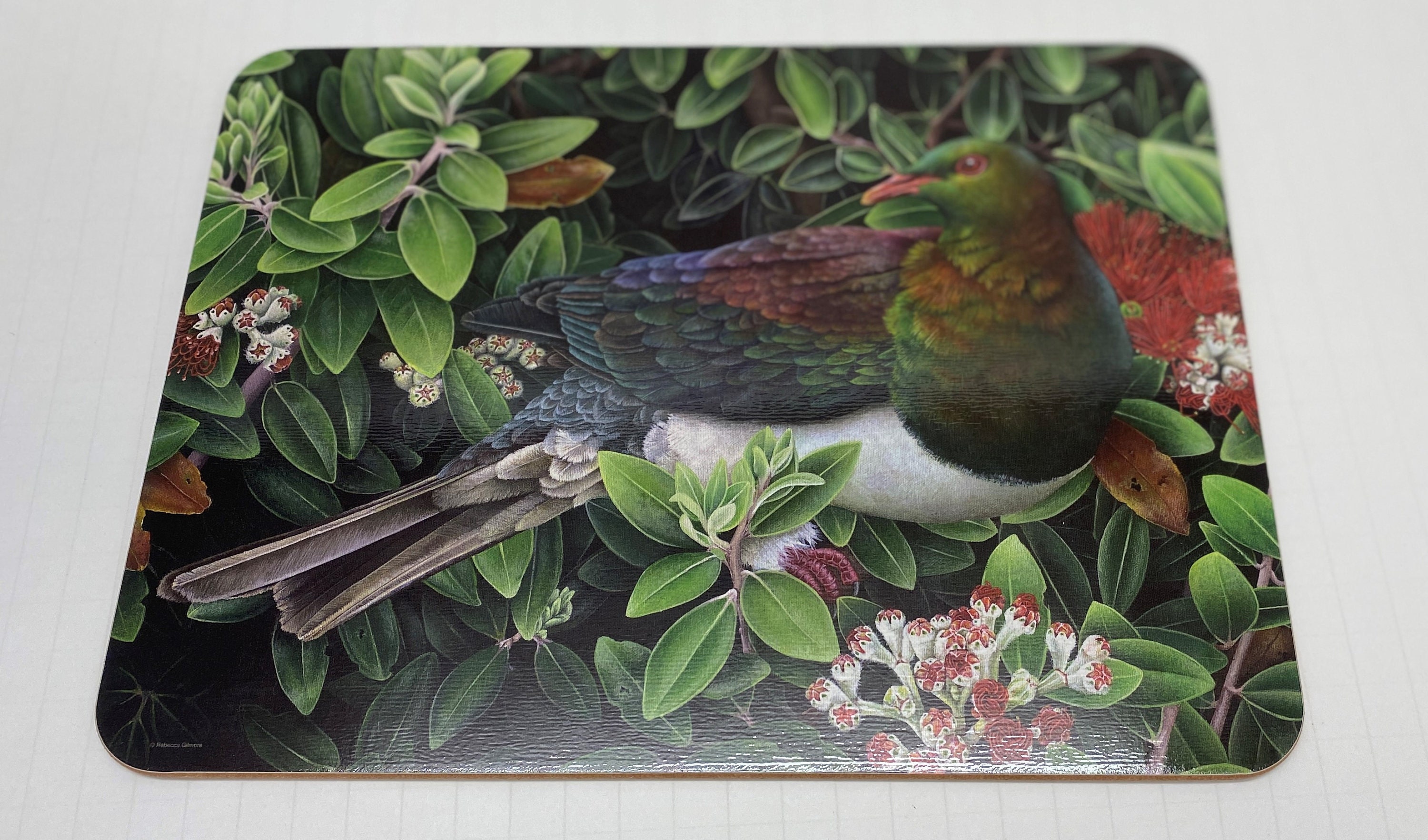 Jason Hardboard Placemats