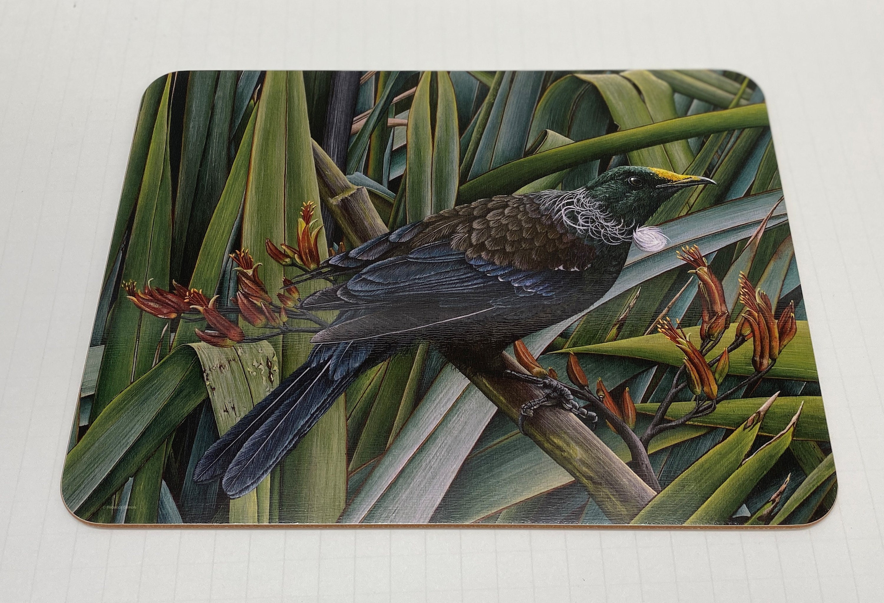 Jason Hardboard Placemats