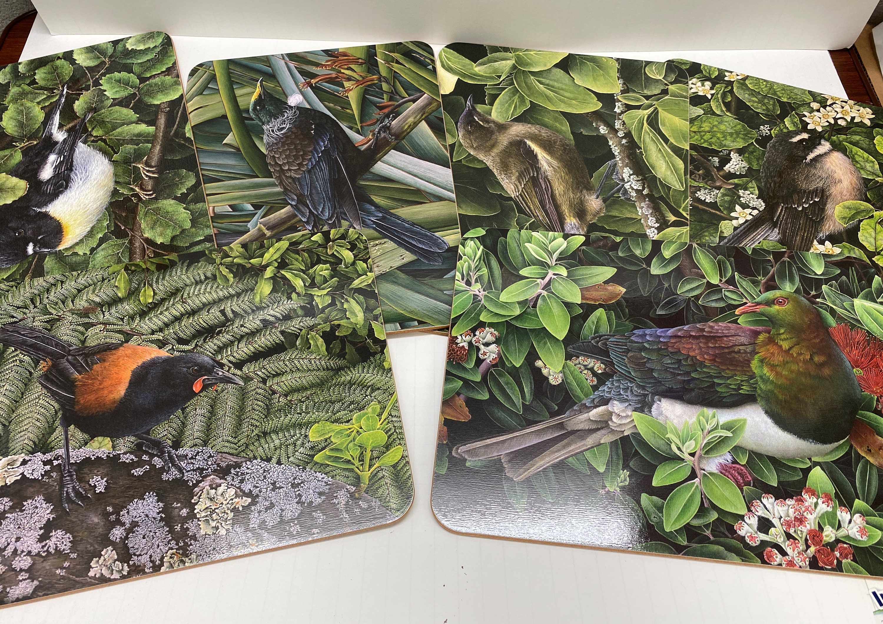 Jason Hardboard Placemats