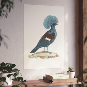 Vintage Bird Fine Art Posters, Nature Wall Decor, Unique Home Art, Gift for Bird Lovers, Botanical Illustration Prints