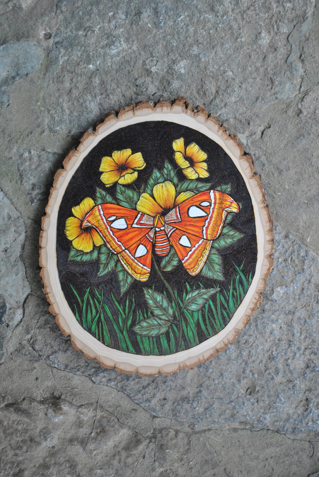 Atlas Moth Wood Burning : Nature Inspired Cottagecore Art - Etsy