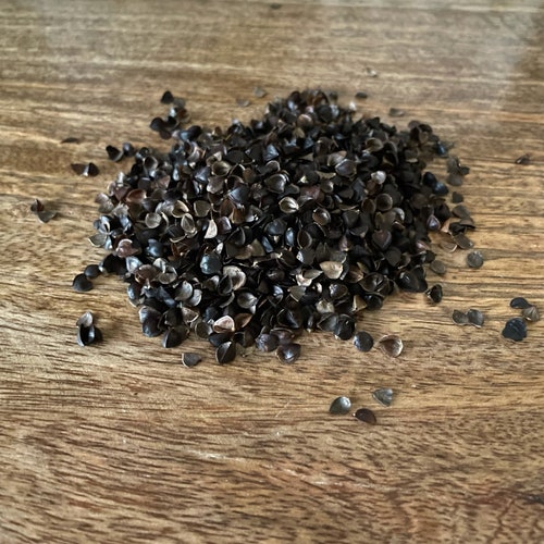 Organic Buckwheat Hulls and Organic Millet Hulls Filling for Etsy