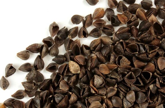 Organic Buckwheat Hull Buckwheat Hulls 