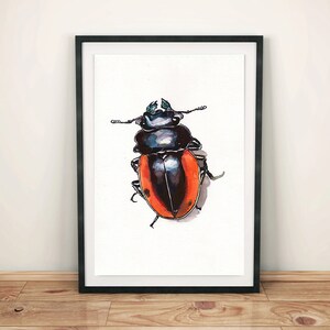Beetle watercolor print Bug Art Print Beetle Wall Decor Colorful Bug Poster Colorful Insect Art Giclee wall print Nature Art Boys Room Decor