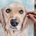 see more listings in the CUSTOM Pet portraits section