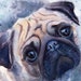 see more listings in the CUSTOM Pet portraits section