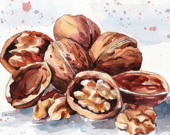 Walnut watercolor Print Painting illustration Walnut Wall decor Nut print Food print Kitchen print Realistic Kitchen art