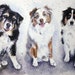 see more listings in the CUSTOM Pet portraits section